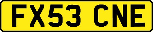 FX53CNE