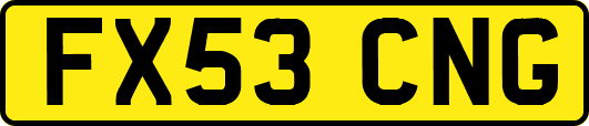 FX53CNG