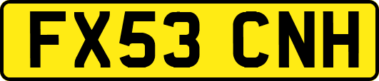 FX53CNH