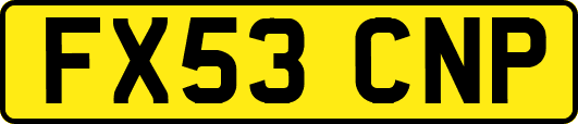 FX53CNP