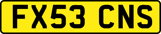 FX53CNS