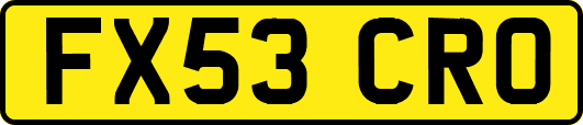 FX53CRO