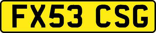 FX53CSG