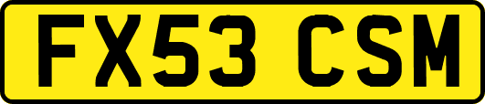 FX53CSM