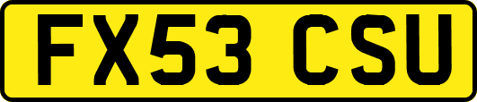 FX53CSU