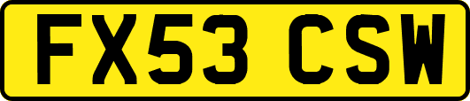 FX53CSW