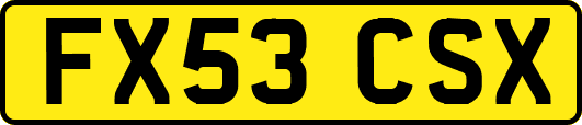 FX53CSX