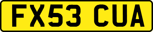 FX53CUA