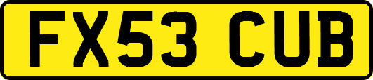 FX53CUB