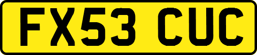 FX53CUC