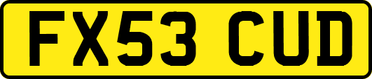 FX53CUD