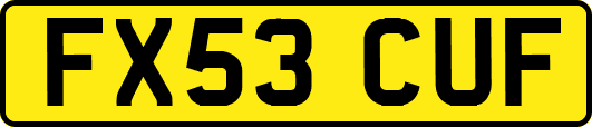 FX53CUF