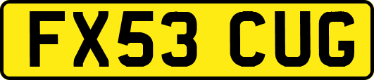 FX53CUG