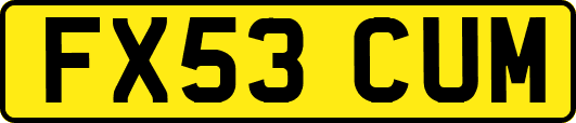 FX53CUM