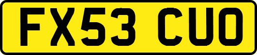 FX53CUO
