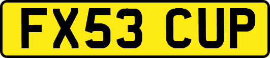 FX53CUP
