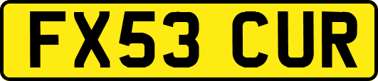 FX53CUR