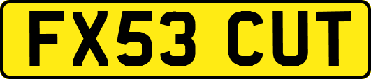 FX53CUT