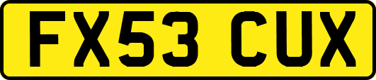 FX53CUX