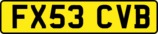 FX53CVB