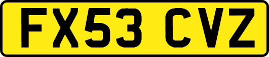 FX53CVZ