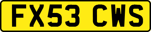 FX53CWS