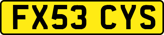 FX53CYS