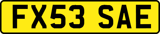 FX53SAE