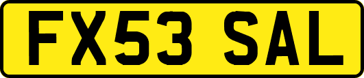 FX53SAL