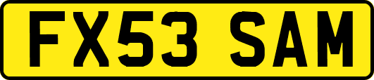 FX53SAM