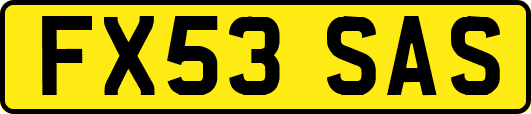 FX53SAS