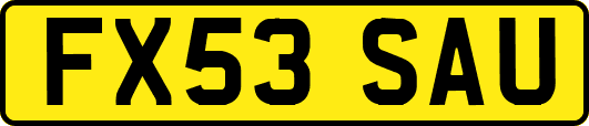 FX53SAU