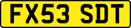 FX53SDT