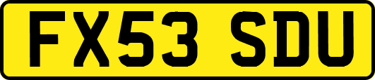 FX53SDU