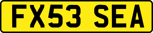 FX53SEA
