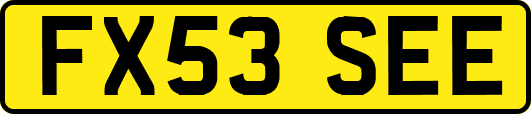 FX53SEE