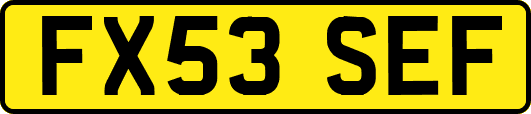 FX53SEF
