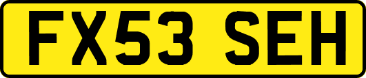 FX53SEH