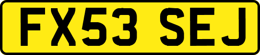 FX53SEJ