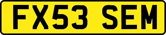 FX53SEM