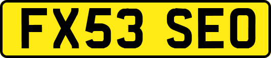 FX53SEO