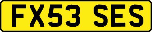 FX53SES