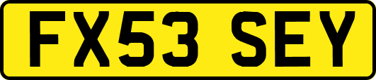FX53SEY