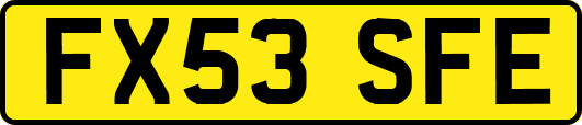 FX53SFE