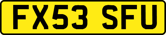 FX53SFU