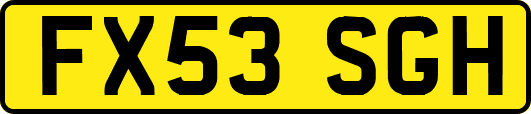 FX53SGH