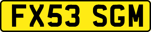 FX53SGM