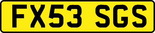 FX53SGS