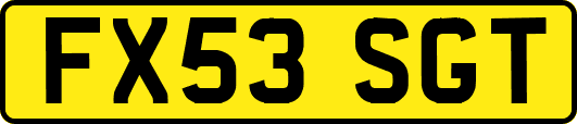 FX53SGT