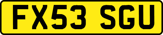 FX53SGU